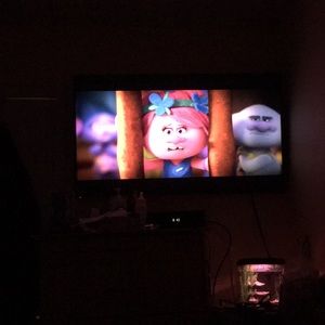 Meet your Posher, Lin